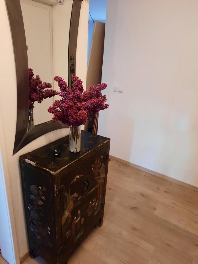 Schone Wohnung In Der Grazer Innenstadt Esterno foto